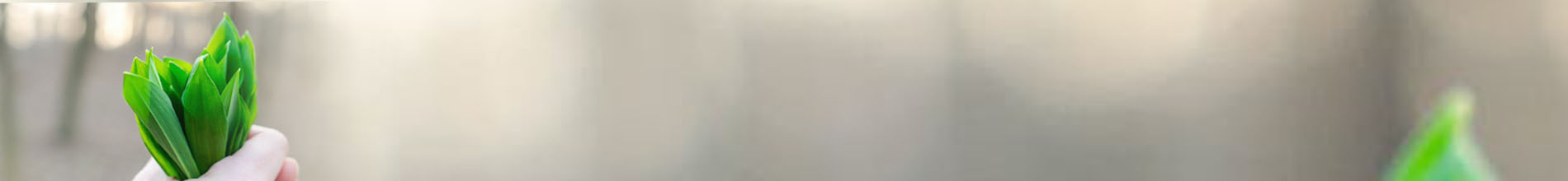 We are Digital Agency